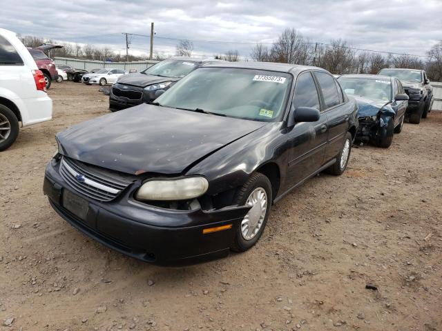 CHEVROLET MALIBU 2001 with VIN 1G1ND52J316257819 - Photo from auction
