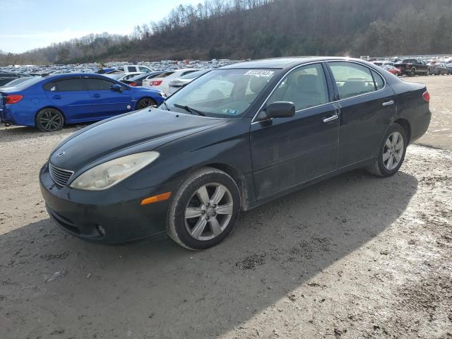 LEXUS ES 330 2005 with VIN JTHBA30G555063656 - Photo from auction