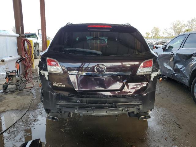 Photo 6 from auction – 2009 MAZDA CX-9 with VIN JM3TB28A790165130