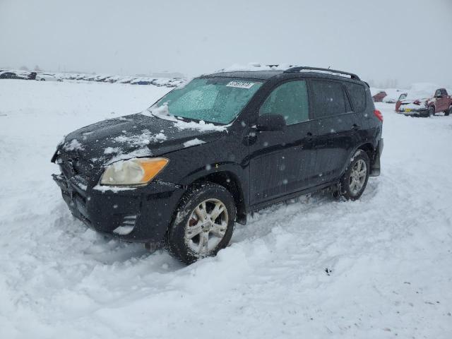 TOYOTA RAV4 2010 with VIN JTMBK4DV3A5097697 - Photo from auction
