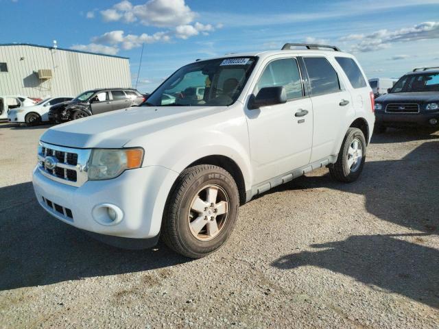 FORD ESCAPE XLT 2011 with VIN 1FMCU0DG7BKB74160 - Photo from auction