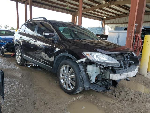 Photo 4 from auction – 2009 MAZDA CX-9 with VIN JM3TB28A790165130