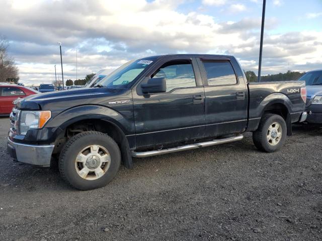 FORD F150 SUPER 2009 with VIN 1FTRW14809FB30690 - Photo from auction