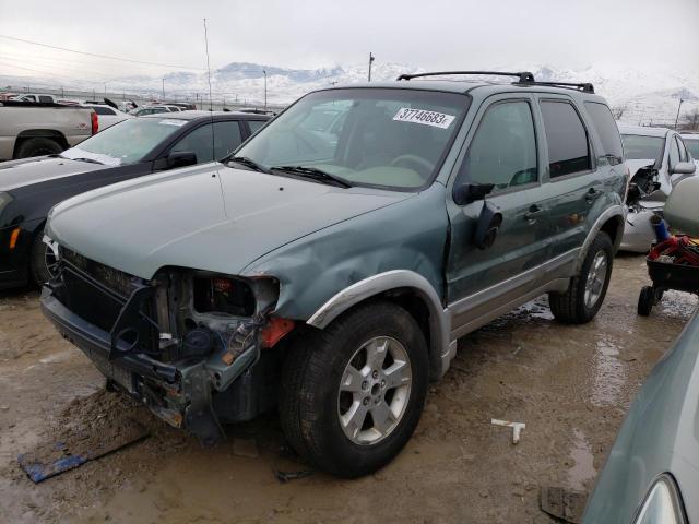 FORD ESCAPE XLT 2007 with VIN 1FMCU93127KB18331 - Photo from auction