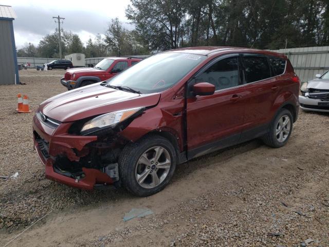 FORD ESCAPE SE 2014 with VIN 1FMCU0GX5EUE34561 - Photo from auction