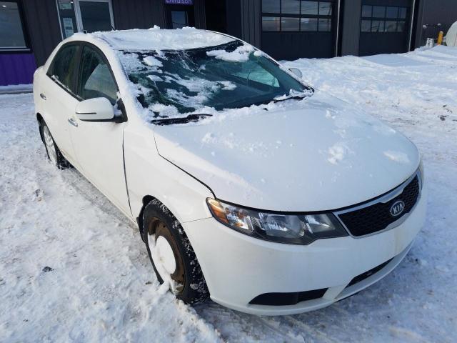 Photo 4 from auction – 2011 KIA FORTE EX with VIN KNAFU4A29B5453106