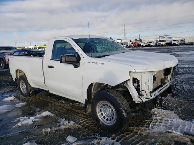 CHEVROLET SILVERADO 2020 with VIN 3GCNYAEF0LG311879 - Photo from auction