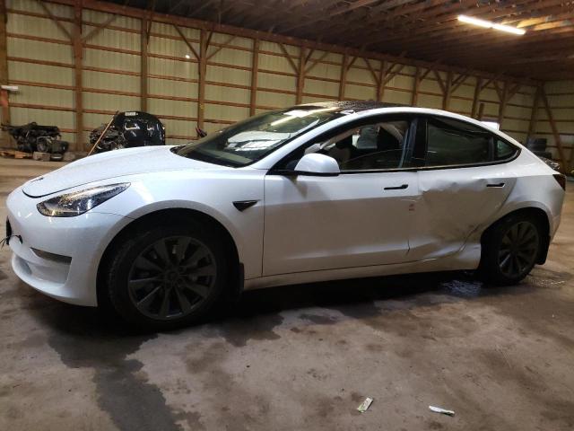 TESLA MODEL 3 2021 with VIN 5YJ3E1EA5MF083034 - Photo from auction