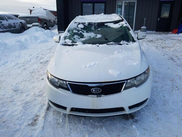 Photo 5 from auction – 2011 KIA FORTE EX with VIN KNAFU4A29B5453106