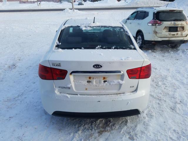 Photo 6 from auction – 2011 KIA FORTE EX with VIN KNAFU4A29B5453106