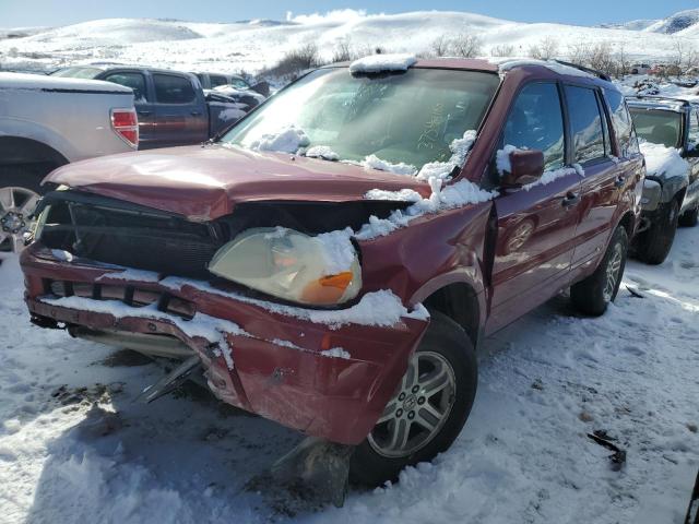 HONDA PILOT EX 2005 with VIN 5FNYF18475B032077 - Photo from auction