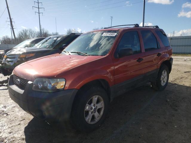 FORD ESCAPE XLT 2006 with VIN 1FMYU03136KA48113 - Photo from auction