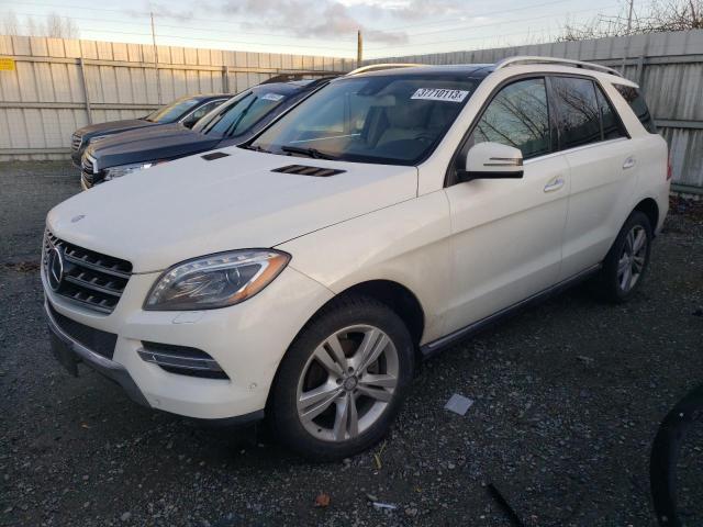 MERCEDES-BENZ ML 350 BLU 2013 with VIN 4JGDA2EB8DA204559 - Photo from auction