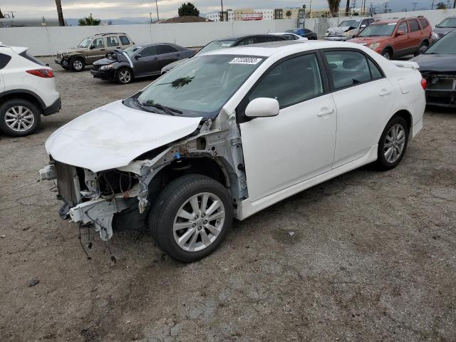 TOYOTA COROLLA BA 2010 with VIN 2T1BU4EE8AC459325 - Photo from auction