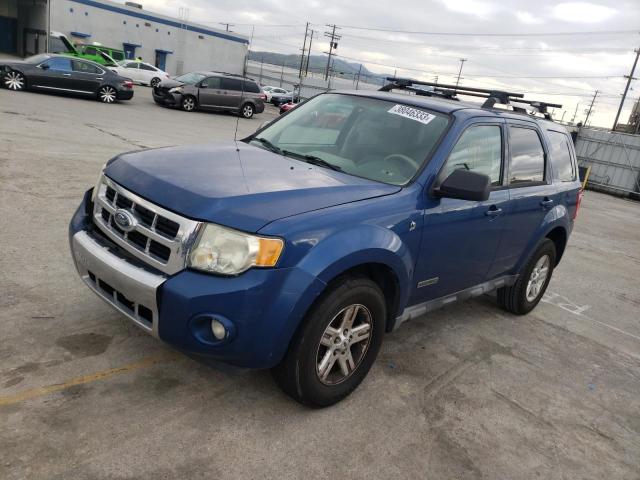 FORD ESCAPE 2008 with VIN 1FMCU49HX8KE76026 - Photo from auction