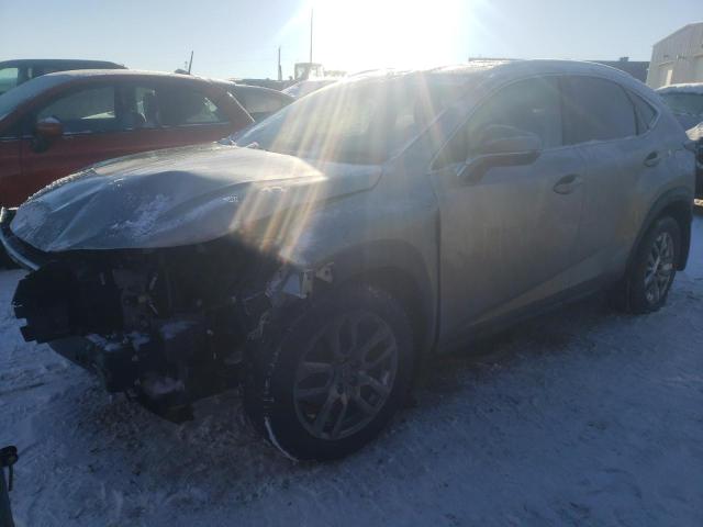 LEXUS NX 300 BAS 2018 with VIN JTJBARBZ4J2174453 - Photo from auction