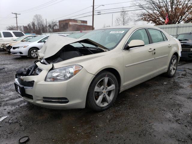 CHEVROLET MALIBU 1LT 2011 with VIN 1G1ZC5E19BF225524 - Photo from auction
