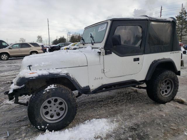JEEP WRANGLER / 1991 with VIN 2J4FY29S8MJ125299 - Photo from auction