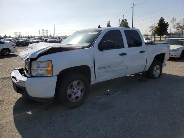 CHEVROLET SILVERADO 2010 with VIN 3GCRCSE05AG296388 - Photo from auction