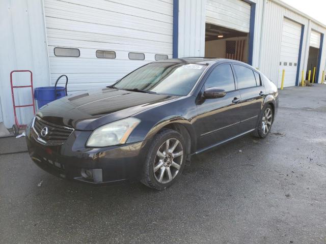 NISSAN MAXIMA SE 2007 with VIN 1N4BA41E97C857262 - Photo from auction