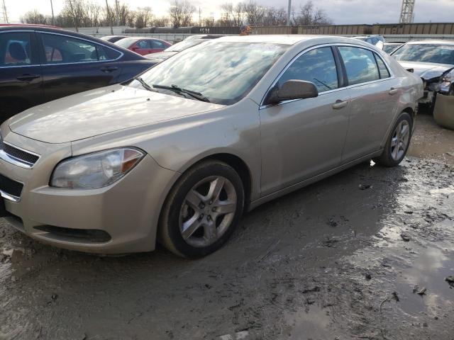 CHEVROLET MALIBU LS 2011 with VIN 1G1ZA5EU4BF166818 - Photo from auction