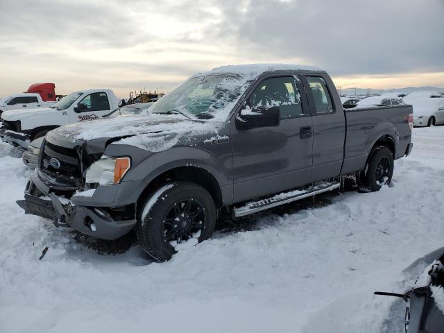 FORD F150 SUPER 2013 with VIN 1FTFX1CF6DFD81321 - Photo from auction
