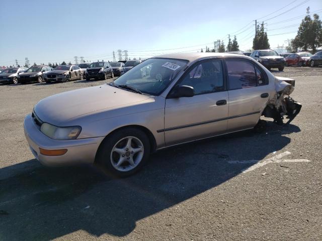 TOYOTA COROLLA LE 1995 with VIN 1NXAE09B4SZ238368 - Photo from auction