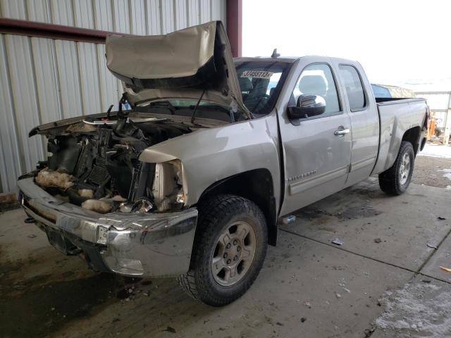 CHEVROLET 1500 2009 with VIN 1GCEK19009Z245639 - Photo from auction