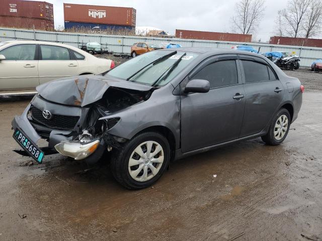 TOYOTA COROLLA BA 2009 with VIN JTDBL40EX99089488 - Photo from auction
