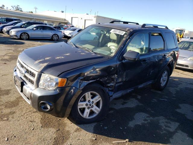 Photo 1 from auction – 2008 FORD ESCAPE HEV with VIN 1FMCU49H98KE51473