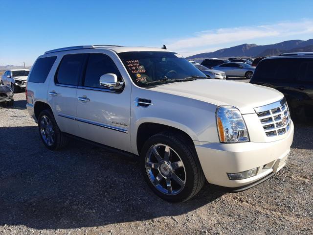 Zdjęcie 4 z aukcji – 2010 CADILLAC ESCALADE P z VIN 1GYUKCEF7AR280422