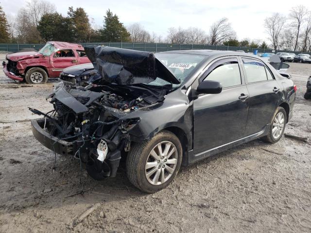TOYOTA COROLLA BA 2010 with VIN 1NXBU4EEXAZ242714 - Photo from auction