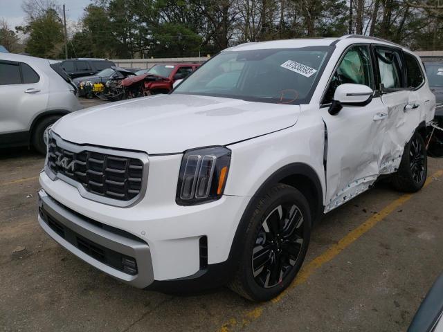 KIA TELLURIDE 2023 with VIN 5XYP5DGC2PG351049 - Photo from auction
