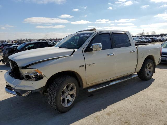 DODGE RAM 1500 2009 with VIN 1D3HV13T39S703875 - Photo from auction