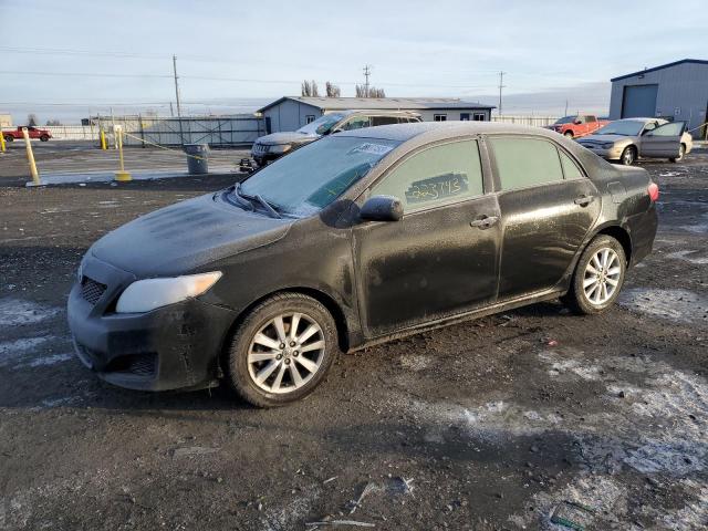 Photo 1 from auction – 2009 TOYOTA COROLLA BA with VIN JTDBL40E59J029231