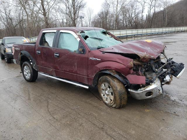 Photo 4 from auction – 2010 FORD F150 SUPER with VIN 1FTFW1EV1AFD64347