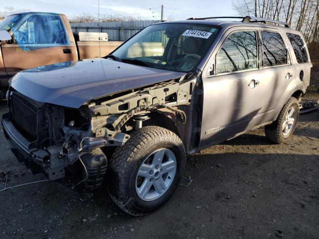 Photo 1 from auction – 2008 FORD ESCAPE HEV with VIN 1FMCU59H78KA21656