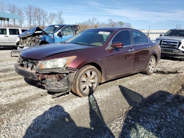 HONDA ACCORD EX 2010 with VIN 5KBCP3F76AB012754 - Photo from auction