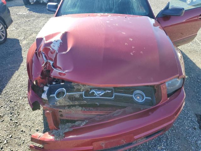 Photo 11 from auction – 2006 FORD MUSTANG with VIN 1ZVHT80N065210949