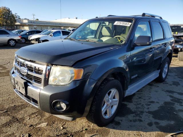 FORD ESCAPE 2008 with VIN 1FMCU49H88KC67187 - Photo from auction