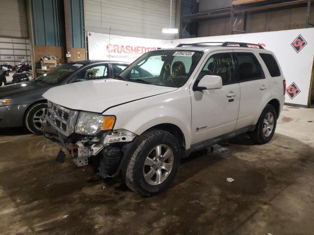 FORD ESCAPE HYB 2009 with VIN 1FMCU49389KB63353 - Photo from auction