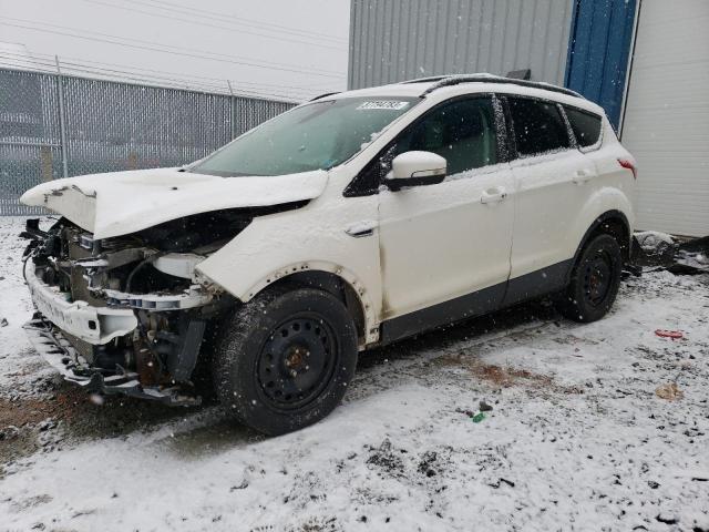FORD ESCAPE SEL 2013 with VIN 1FMCU9H93DUB33919 - Photo from auction