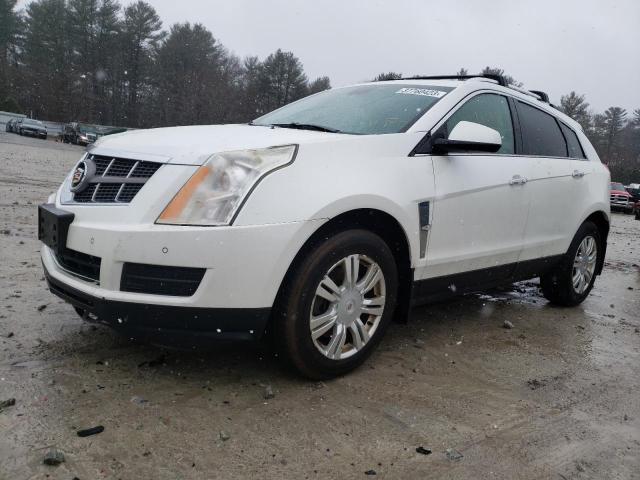 CADILLAC SRX LUXURY 2011 with VIN 3GYFNDEY1BS572704 - Photo from auction