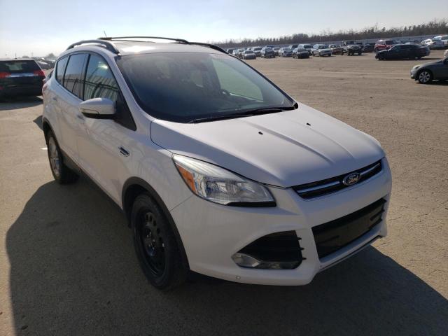 Photo 4 from auction – 2013 FORD ESCAPE SEL with VIN 1FMCU0HX4DUC79031