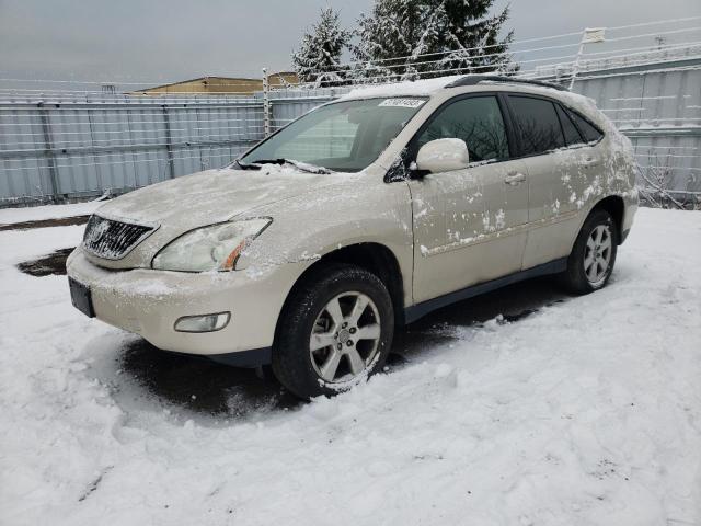 LEXUS RX 330 2006 with VIN JTJHA31U560103777 - Photo from auction