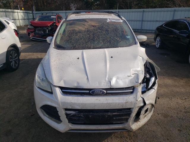 Photo 5 from auction – 2013 FORD ESCAPE SEL with VIN 1FMCU0HX9DUA85756