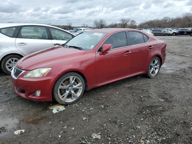 LEXUS IS 250 2009 with VIN JTHBK262992087422 - Photo from auction