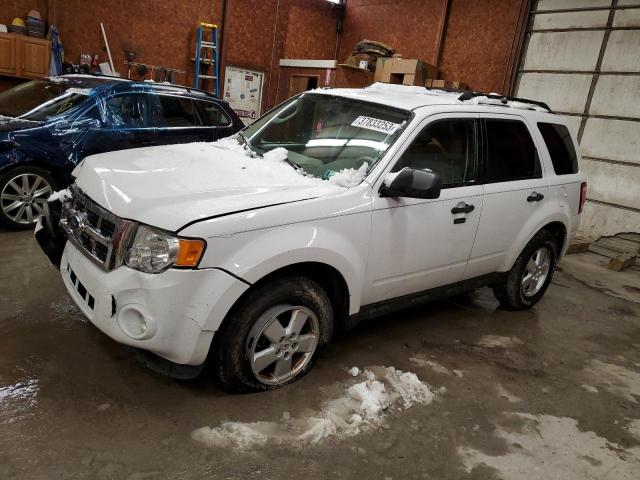 FORD ESCAPE XLT 2011 with VIN 1FMCU9DGXBKB47555 - Photo from auction