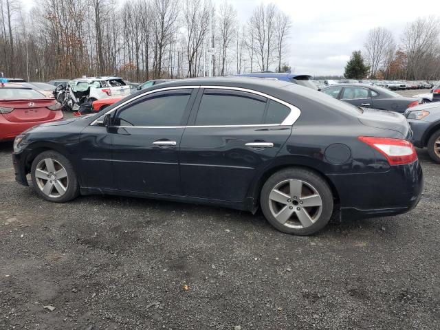 Photo 2 from auction – 2009 NISSAN MAXIMA S with VIN 1N4AA51E49C859876