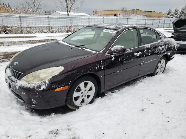 LEXUS ES 330 2006 with VIN JTHBA30G065146056 - Photo from auction